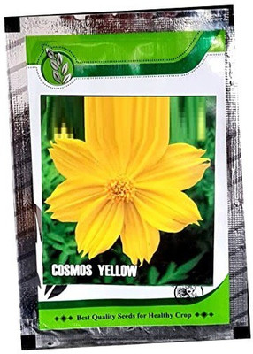 CYBEXIS PUAS-43 - Cosmos Yellow - (270 Seeds) Seed(270 per packet)