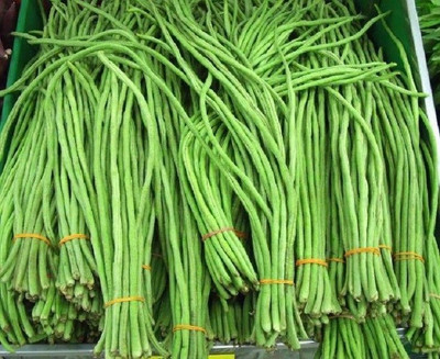 Jignishaseeds KSP 178 Cowpea Seeds, Bushy Plant With Dark Green Color Seed(50 per packet)