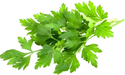 VibeX VXI-70 - Italian Flat Leaf ParsleyGreen - (250 Seeds) Seed(250 per packet)