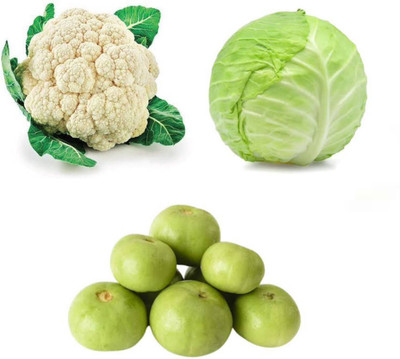 PSAgroinput PhoolGobhee-Pattagobhi-TINDA pack of 3 Seed(100 g)