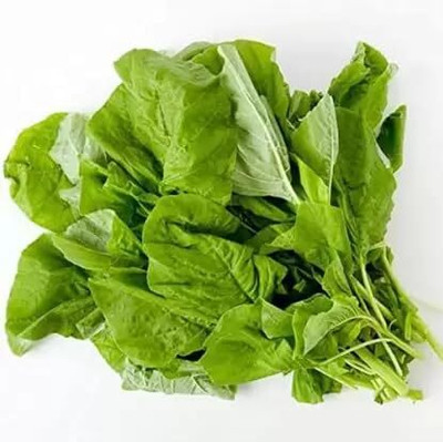 Aywal Green/Cholai Saag Seed(20 per packet)