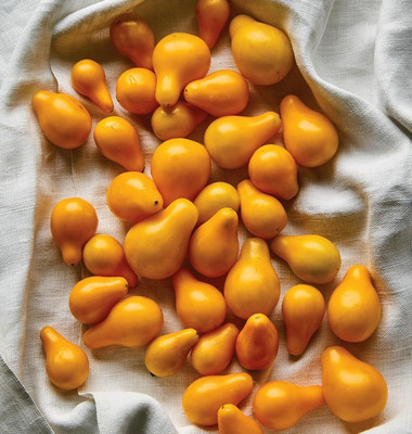 Biosnyg Organic Yellow Pear Tomato Vegetable Seeds for Garden - (1000 Seeds) Seed(1000 per packet)