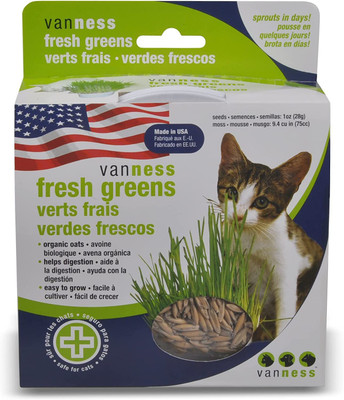 CYBEXIS VVI-55 - Sweet Oats for Cats - (4500 Seeds) Seed(4500 per packet)