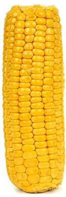 WILLVINE ROX -X Sweet Corn F1 Hybrid Seeds-[100g] Seed(400 per packet)