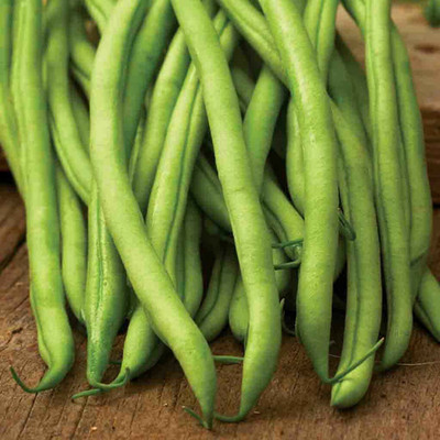 SREE Gwar Fali/Cluster Beans 94 Seed(25 per packet)
