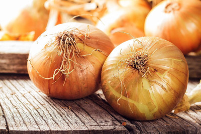 CYBEXIS XL-97 - Walla Walla Spanish Onion - (13500 Seeds) Seed(13500 per packet)
