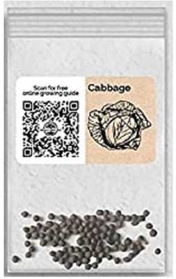 WILLVINE F1 Hybrid Cabbage-5000 Seeds Seed(5000 per packet)