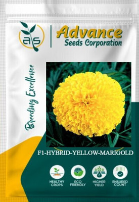 fixeded F1 HYBRID YELLOW MARIGOLD FLOWER SEEDS & PLANT Seed(100 per packet)