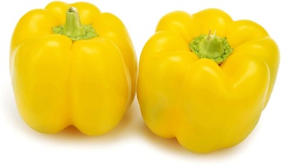 Qualtivate XXX-7A YELLOW CAPSICUM VEGETABLE SEEDS Seed(100 per packet)