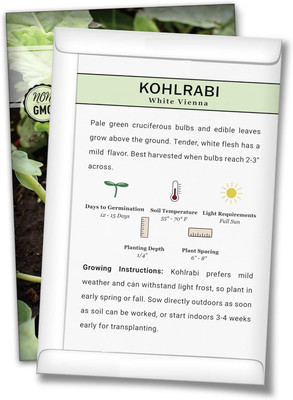Quentova White Vienna Kohlrabi-2.5gm-VXI-22O Seed(750 per packet)