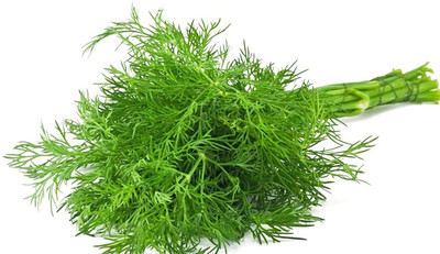 Aywal Fresh Soya Saag F1 Hybrid Vegetable Seed(200 per packet)