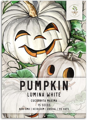 Qualtivate GBPT-2A Lumina White Pumpkin (Cucurbita Maxima) Seed(50 per packet)
