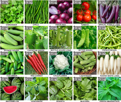 Agrey combo of 20 variety vegetable seeds with instruction manual. Seed(20 per packet)