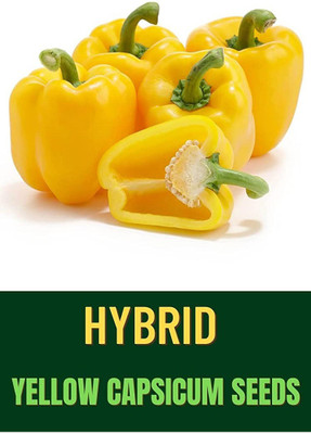 VibeX Capsicum Seed(200 per packet)