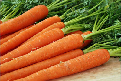 BJUBAS Long carrot seeds PACK OF 152 Seed(152 per packet)