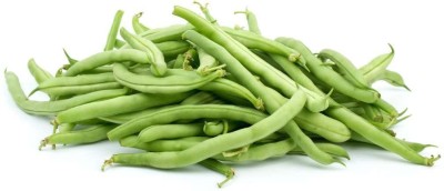 TRICONE Moringa Seed(40 per packet)