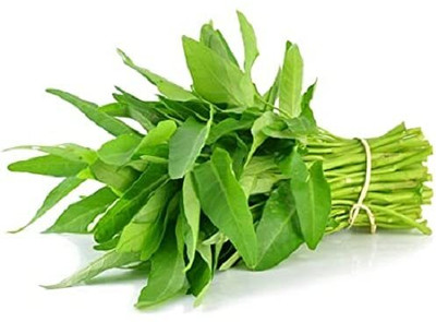 Qualtivate PUA-1A Spinach, Palak Seeds Seed(300 per packet)