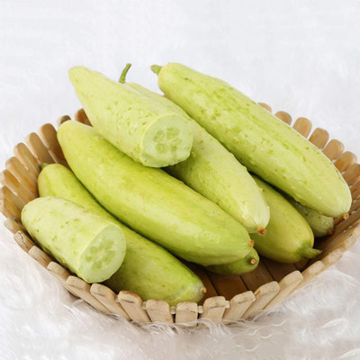 KNESSiN White Cucumber Seed(1250 per packet)