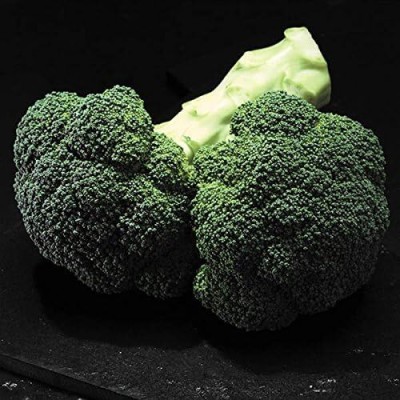 Qualtivate GXL-6AT Broccoli Gypsy Seeds Seed(300 per packet)