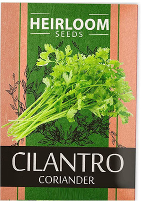 VibeX PAU-11 - Non-GMO Cilantro - (750 Seeds) Seed(750 per packet)