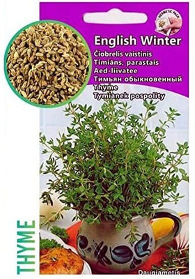 CYBEXIS Imported F1 Hybrid Thyme Seeds800 Seeds Seed(800 per packet)
