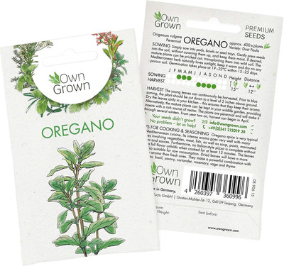 KNESSiN Oregano Seed(500 per packet)