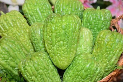 VibeX NBIR-93 - Bitter gourd round green chinese variety - (100 Seeds) Seed(100 per packet)