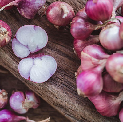 KNESSiN Heat Tolerant Gray Shallot Onion Seeds For Kitchen Gardening-(600 Seeds) Seed(600 per packet)