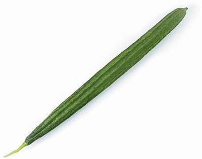 XOLDAA FI QUALITY RIDGE GOURD Seed(10 per packet)