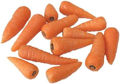 Qualtivate RES-7A Carrot Little Fingers Seed(300 per packet)