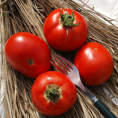 VRAKSHA Tomato Red टमाटर Seed(200 per packet)