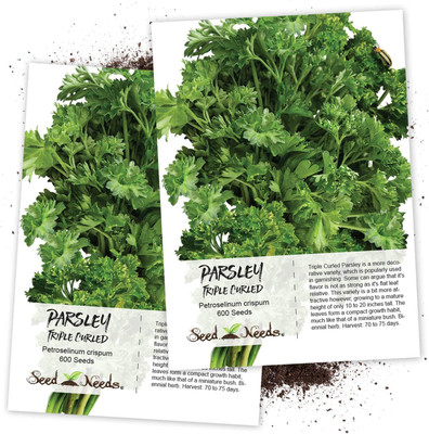 CYBEXIS GBPUT-78 - Triple Curled Parsley - (750 Seeds) Seed(750 per packet)