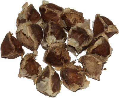 VibeX VXI-87 - Fully Matured Black Moringa - (1350 Seeds) Seed(1350 per packet)