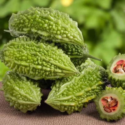 BDSresolve Round bitter gourd seeds PACK OF 82 Seed(82 per packet)