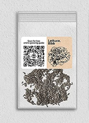 WILLVINE F1 Hybrid Bibb Lettuce-1250 Seeds Seed(1250 per packet)
