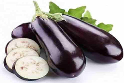 Ebainz Brinjal Seed, Begun Seed Seed(40 per packet)