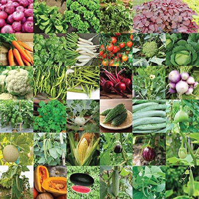 UGAOO Indian Vegetable Seeds Bank For Home Garden 35 Varieties Seed(1675 per packet)