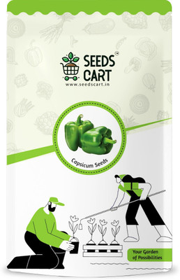 SeedsCart Green Capsicum, Green Shimla Mirch Seed(100 per packet)