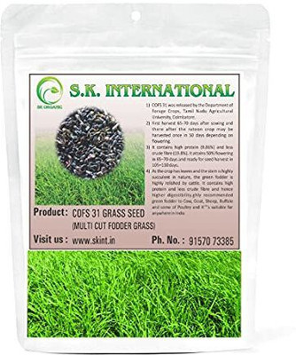 SK ORGANIC COFS 31 Multicut Fodder Grass Seeds (500 gms) Seed(2000 per packet)