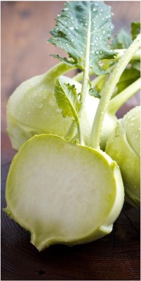 Quentova White Vienna Kohlrabi-1gm Seed(300 per packet)