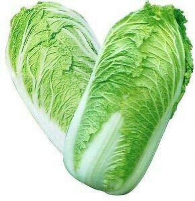 CYBEXIS CHINESE CABBAGE GRANAAT Seed(2000 per packet)