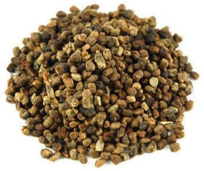 Qualtivate XLR-95 CARDAMOM Alpinia Oxyphylla Tree Seeds Seed(50 per packet)