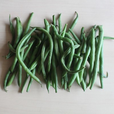 SEMPA Vegetable Seeds French Beans Seed(500 per packet)