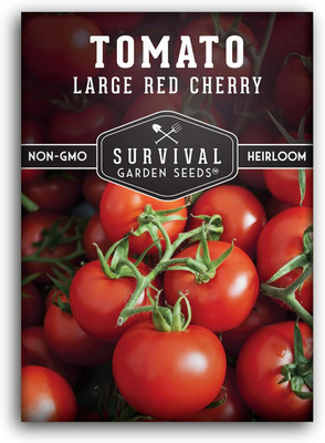 Qualtivate ICRA-5A Large Red Cherry Tomato Seed(300 per packet)