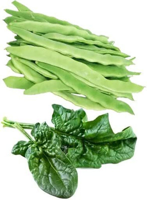 DIVINE BEANS Seed(100 per packet)
