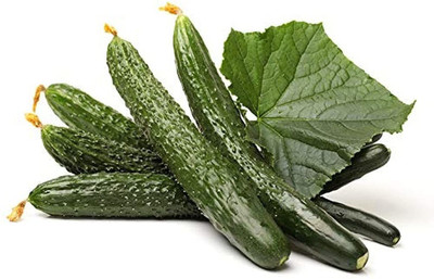 CYBEXIS Cucumber Seeds Grow Your Own Green No Pollution Vegetables500 Seeds Seed(500 per packet)