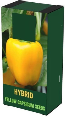 VibeX ® XXL-289 Hybrid Yellow Capsicum Seeds Seed(200 per packet)