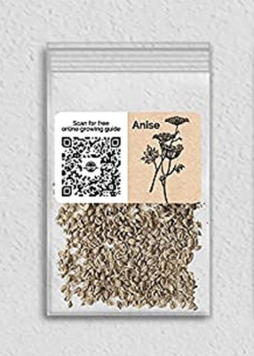 WILLVINE Non-GMO F1 HybridAnise Hyssop-1250 Seeds Seed(1250 per packet)