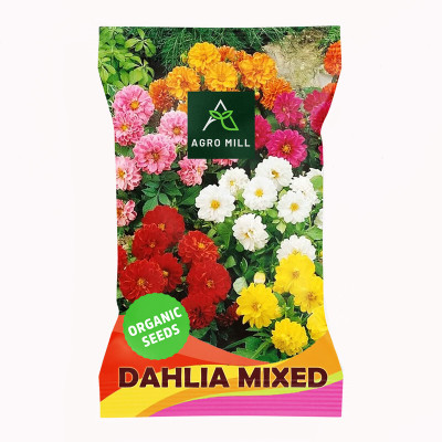AGRO MILL DAHLIA Seed(20 per packet)