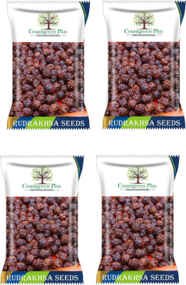 Countgreen Plus Rudraksha/Elaeocarpus Ganitrus Rudraksh Holy Tree Seed(20 per packet)